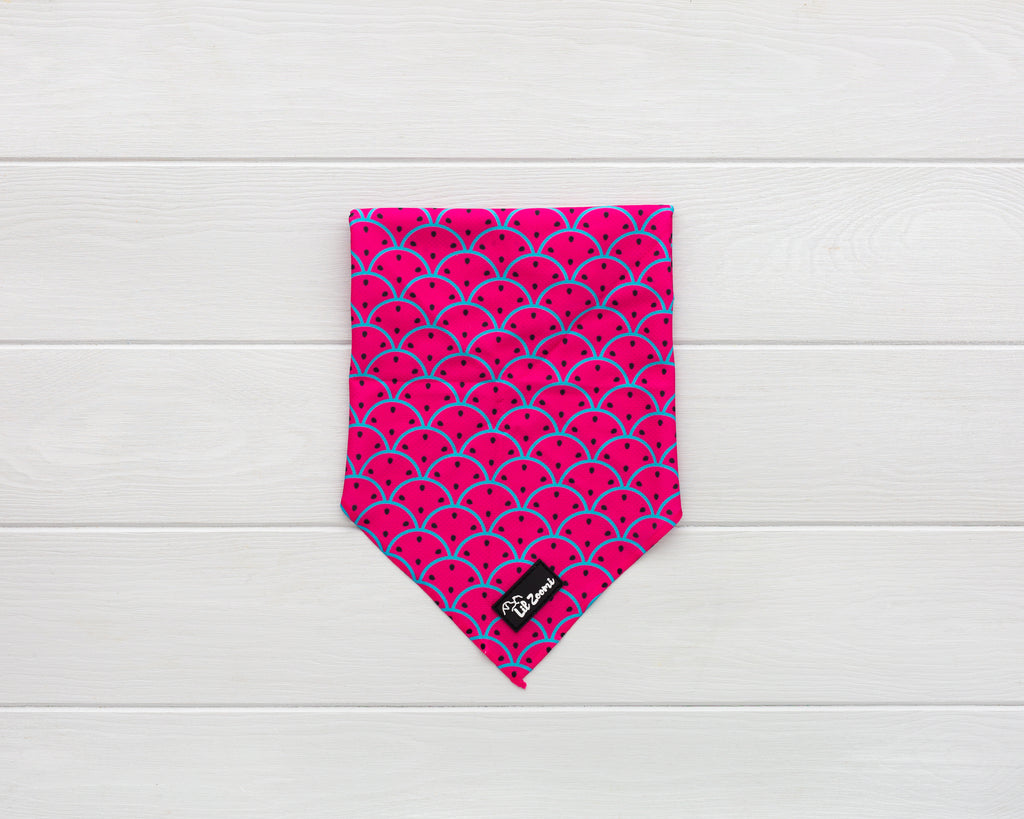 One in a melon theme dog and cat bandanna 