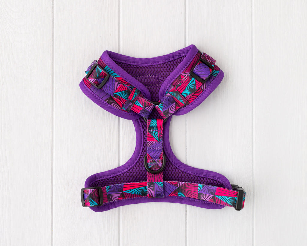 Purple Aztec dog and cat adjustable harness front