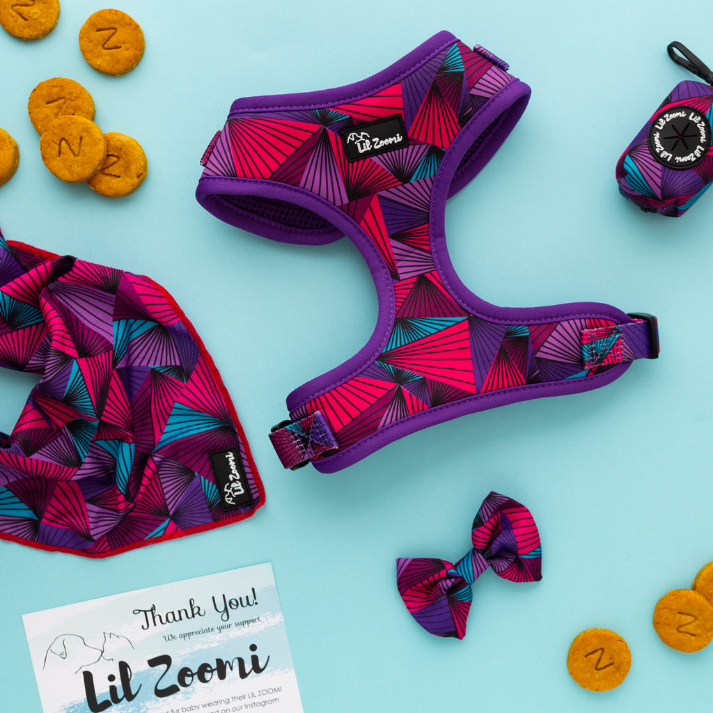 Purple Aztec dog and cat pet accessories bundle