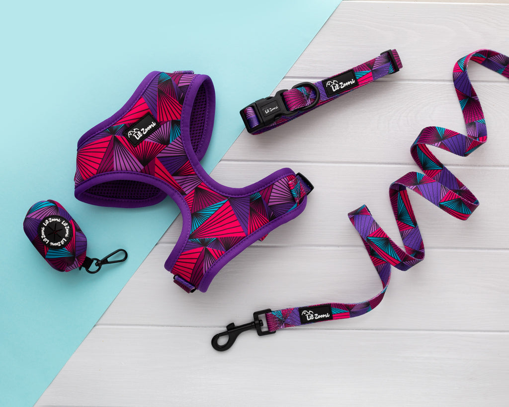Purple Aztec dog and cat pet accessories walking bundle