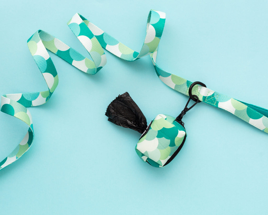 Scale up dog leash and dog poop bag holder