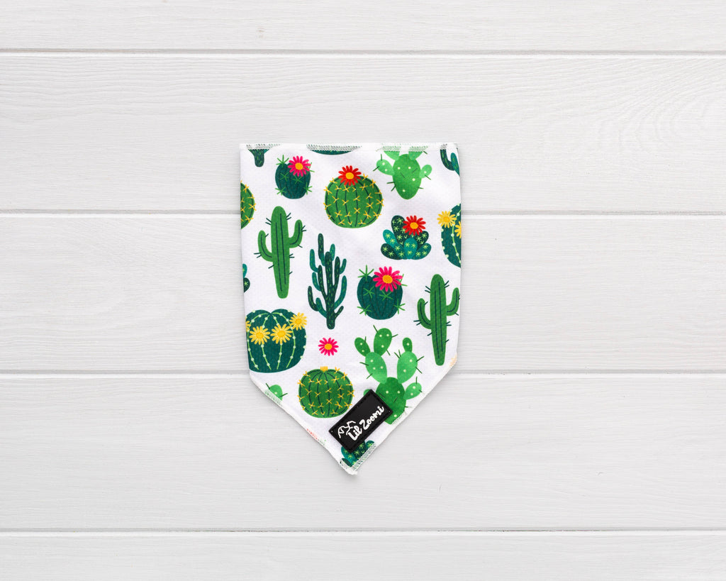 Succulent, plant and cactus dog and cat bandanna 
