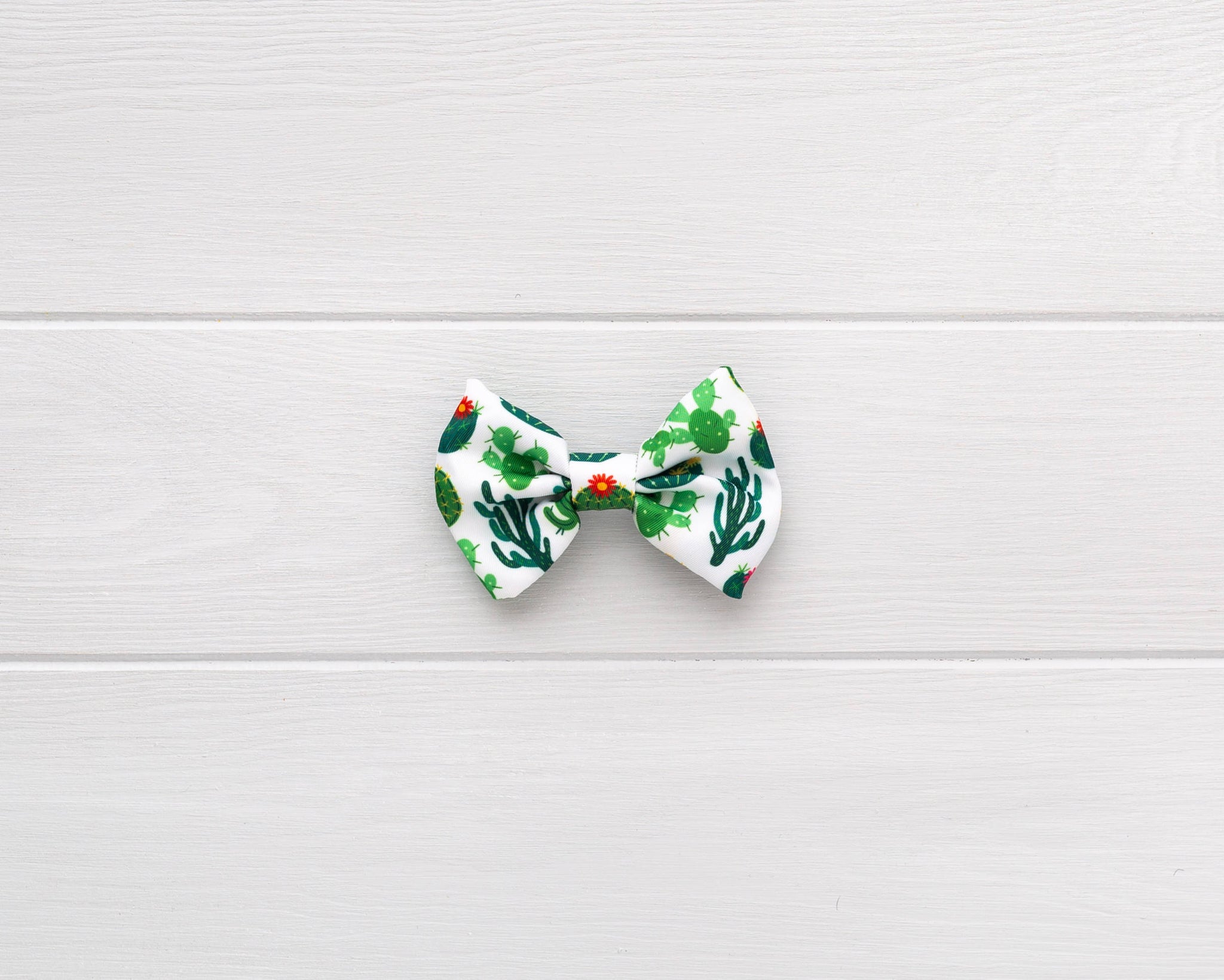 succulent bow tie Succulent Baby Dog & Cat Bow-Tie – Lil Zoomi