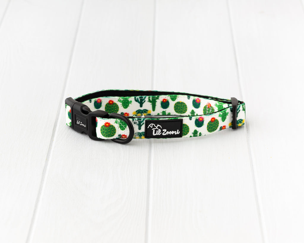 Succulent, plant and cactus dog and cat collar 