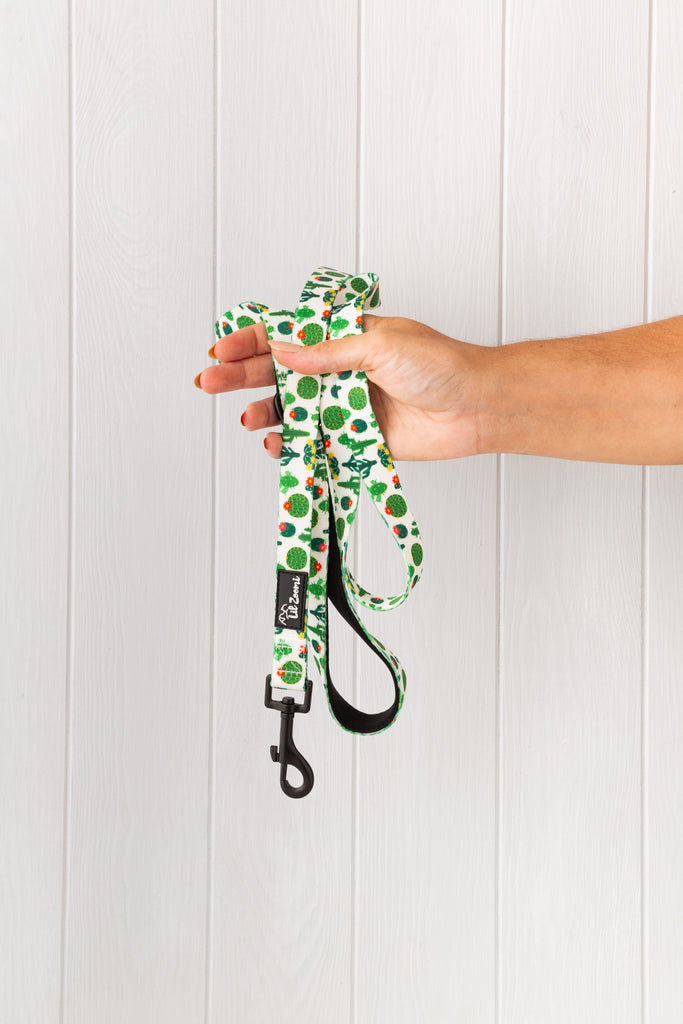 Succulent, plant and cactus dog and cat lead