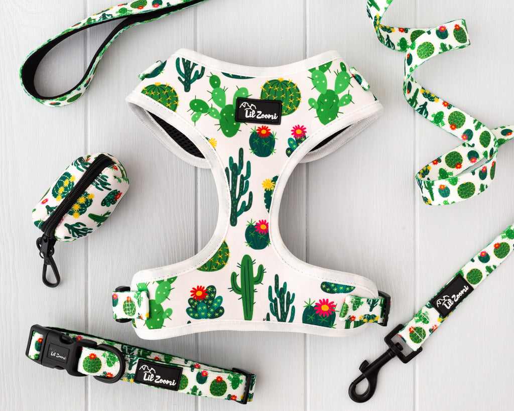 Succulent, plant and cactus dog and cat pet accessories walking bundle