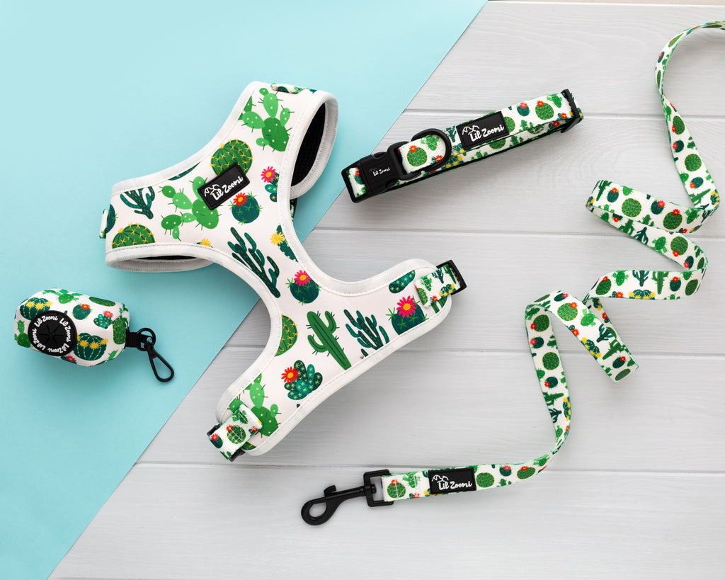 Succulent, plant and cactus dog and cat pet accessories walking bundle