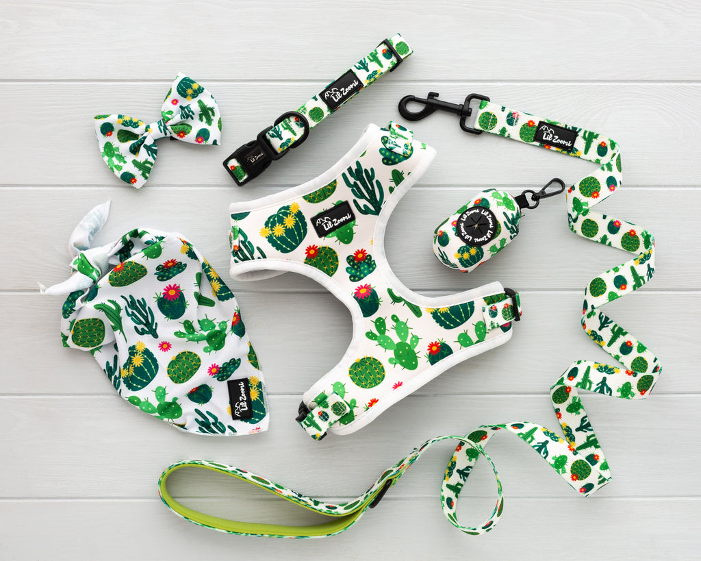 Succulent, plant and cactus theme dog and cat pet accessories harness, lead, collar, bow-tie, bandana and poop-bag holder bundle
