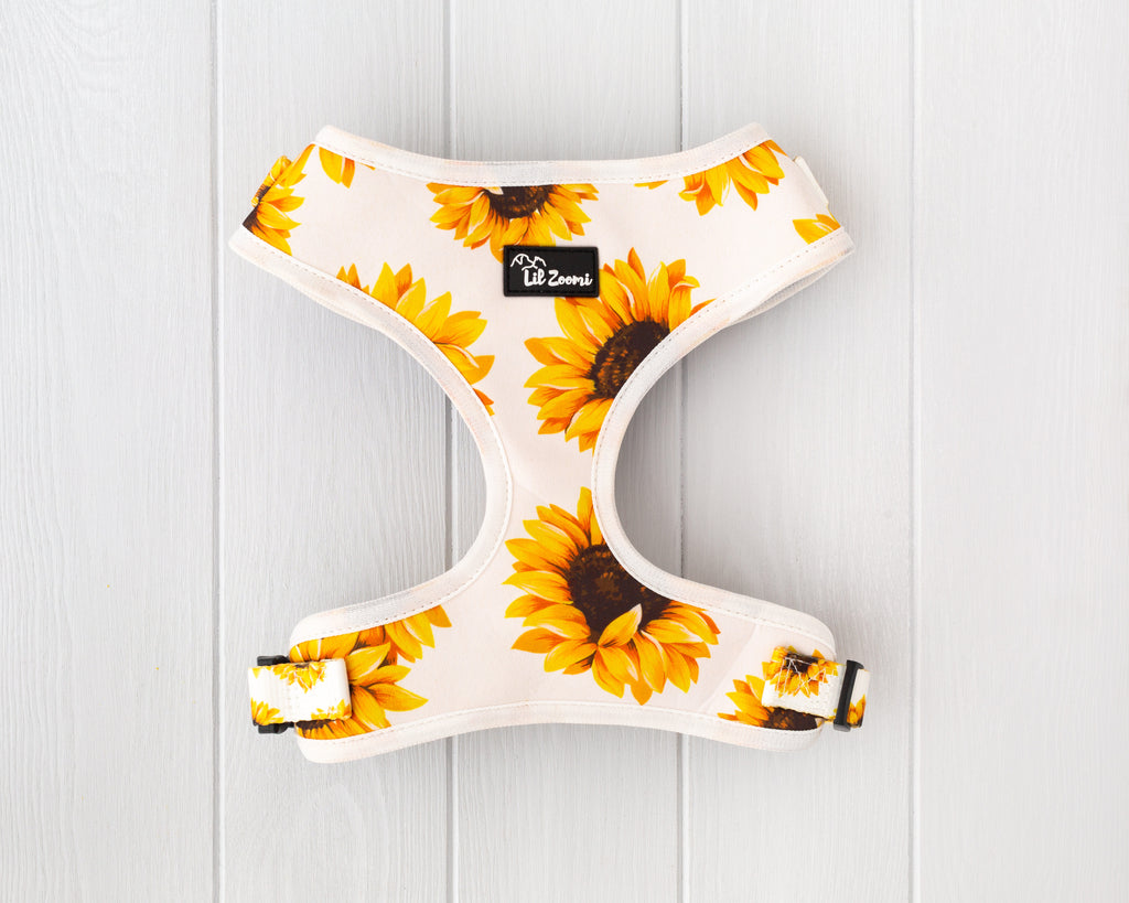 Sunflower dog and cat adjustable harness back