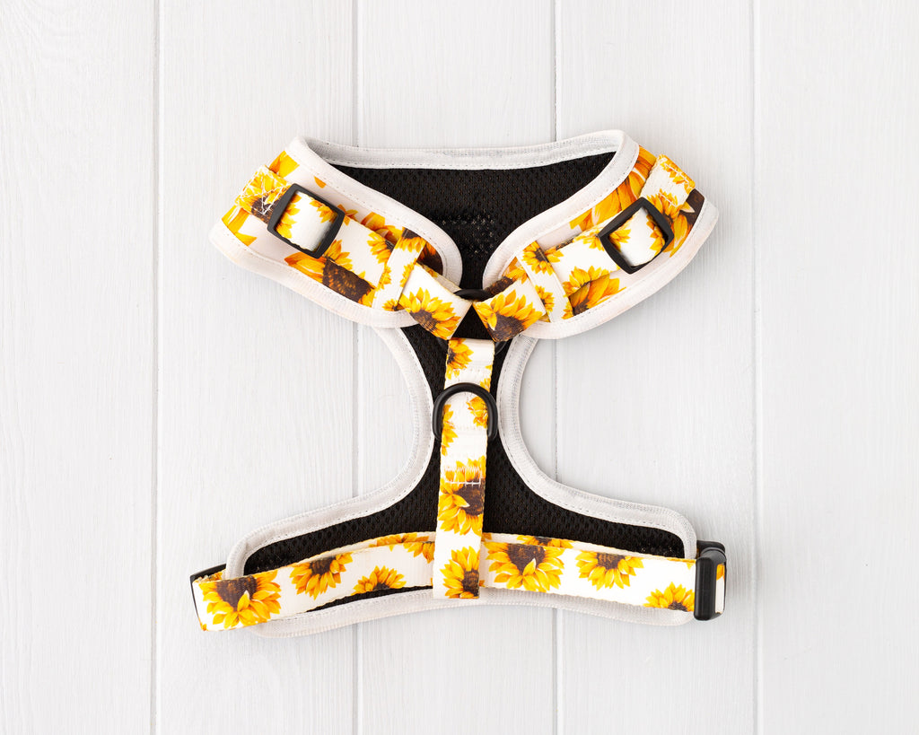 Sunflower dog and cat adjustable harness front