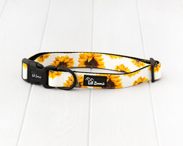 Sunflower dog and cat collar
