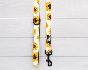 Sunflower dog  and cat leash