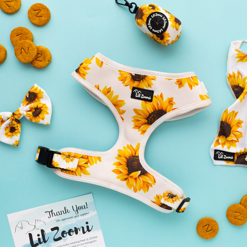 Sunflower dog and cat pet accessories bundle 