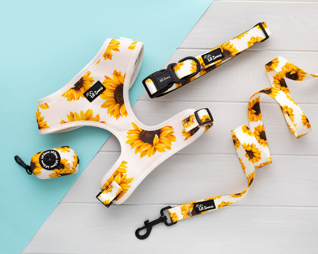 Sunflower dog and cat pet accessories walking bundle
