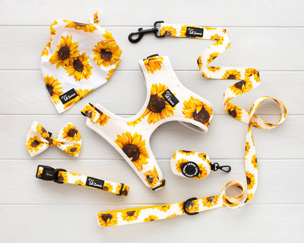Sunflower print theme dog and cat pet accessories harness, lead, collar, bow-tie, bandana and poop-bag holder bundle