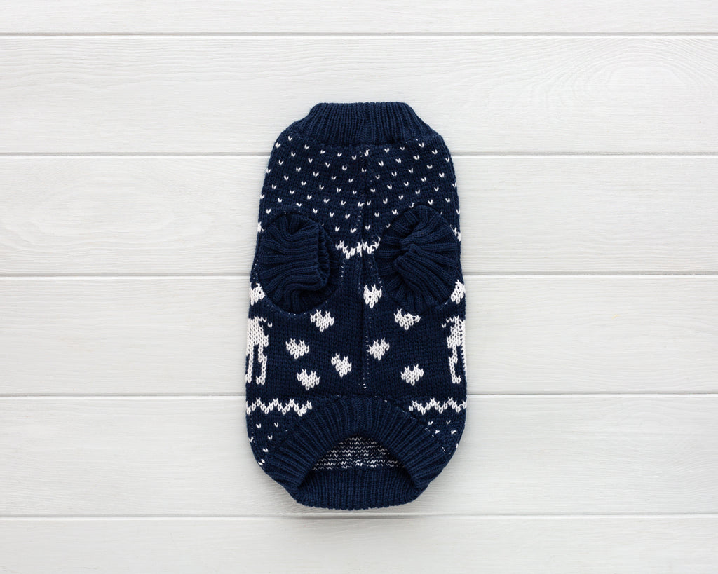 cat and dog blue cable knit sweater back winter