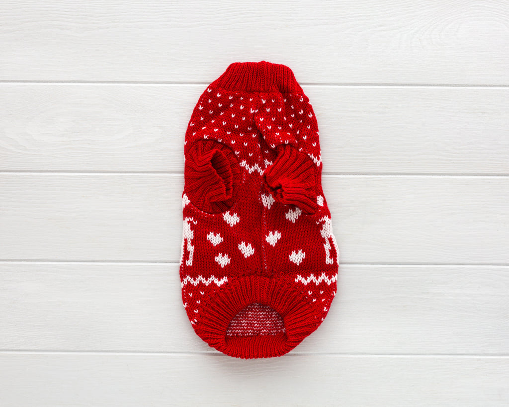 cat and dog red cable knit sweater back winter