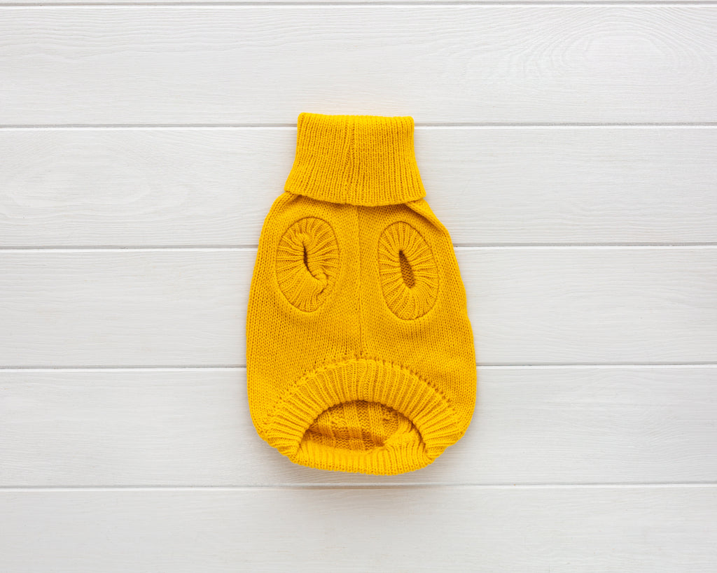 cat and dog yellow cable knit sweater front