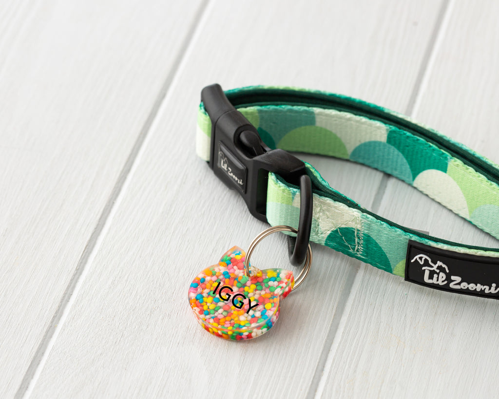 confetti with name theme resin dog and cat name tags with collar